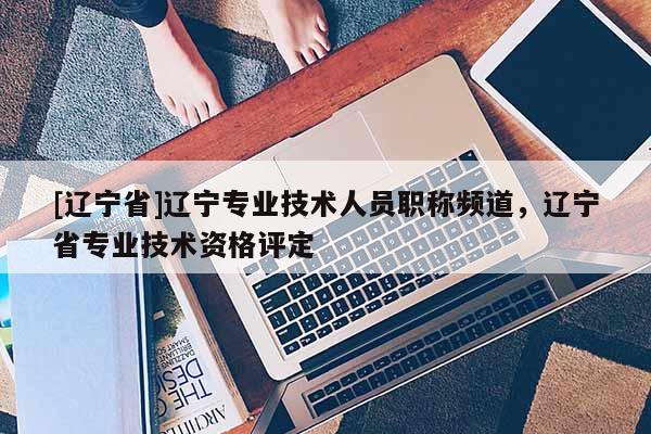 [辽宁省]辽宁专业技术人员职称频道，辽宁省专业技术资格评定