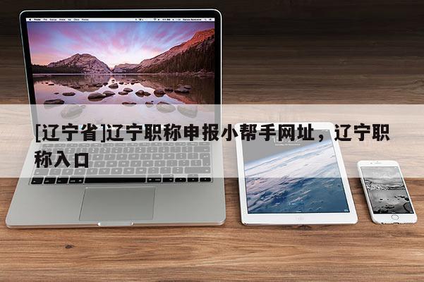 [辽宁省]辽宁职称申报小帮手网址，辽宁职称入口