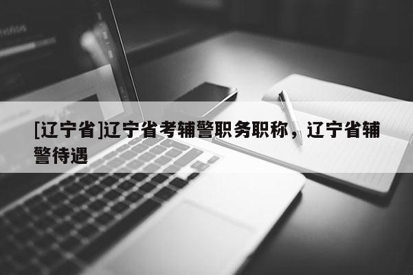 [辽宁省]辽宁省考辅警职务职称，辽宁省辅警待遇