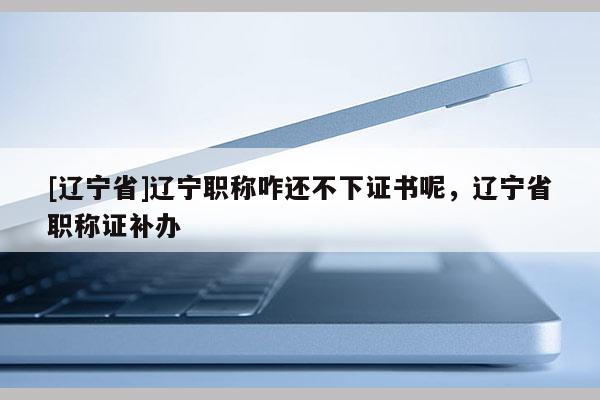 [辽宁省]辽宁职称咋还不下证书呢，辽宁省职称证补办