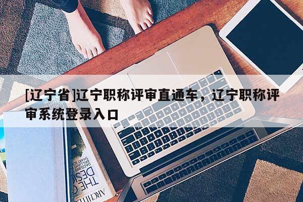 [辽宁省]辽宁职称评审直通车，辽宁职称评审系统登录入口