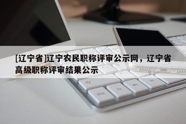 [辽宁省]辽宁农民职称评审公示网，辽宁省高级职称评审结果公示