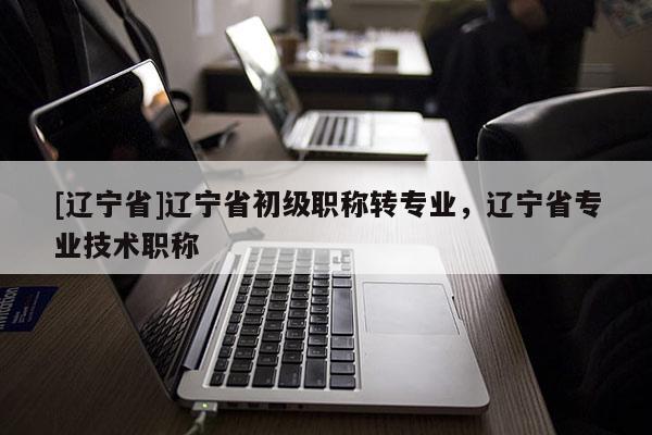 [辽宁省]辽宁省初级职称转专业，辽宁省专业技术职称