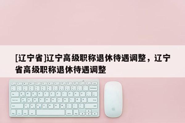 [辽宁省]辽宁高级职称退休待遇调整，辽宁省高级职称退休待遇调整