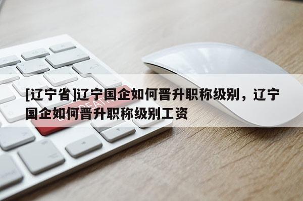 [辽宁省]辽宁国企如何晋升职称级别，辽宁国企如何晋升职称级别工资