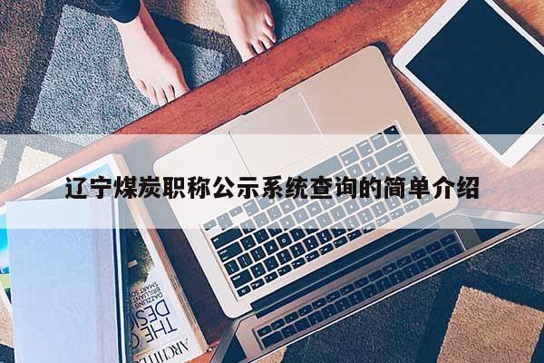 辽宁煤炭职称公示系统查询的简单介绍