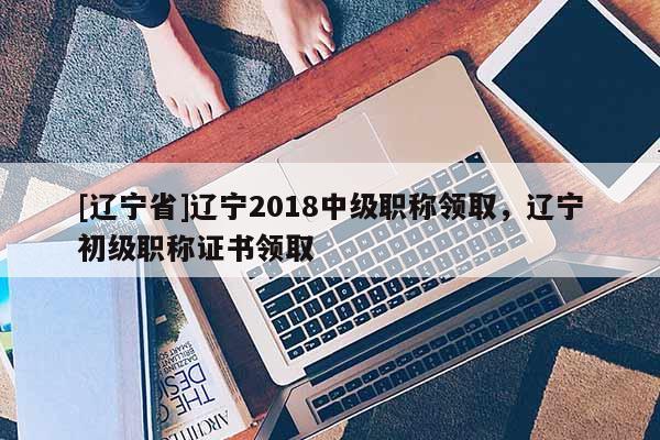 [辽宁省]辽宁2018中级职称领取，辽宁初级职称证书领取