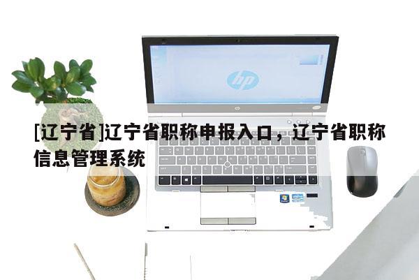 [辽宁省]辽宁省职称申报入口，辽宁省职称信息管理系统