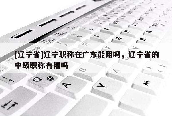 [辽宁省]辽宁职称在广东能用吗，辽宁省的中级职称有用吗