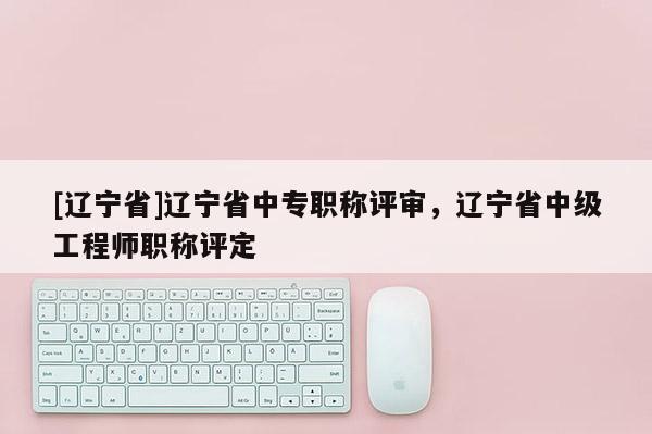 [辽宁省]辽宁省中专职称评审，辽宁省中级工程师职称评定