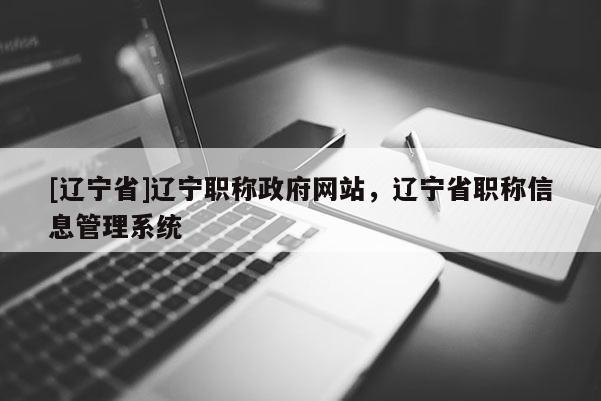 [辽宁省]辽宁职称政府网站，辽宁省职称信息管理系统